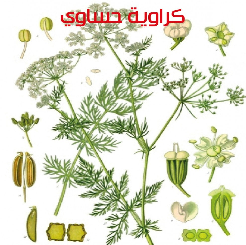Caraway Seeds Al Ahsa 20 g - supplier photo