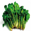 Organic Spinach Seeds 20 g بذور سبانخ عضوية 20 جرام - supplier photo