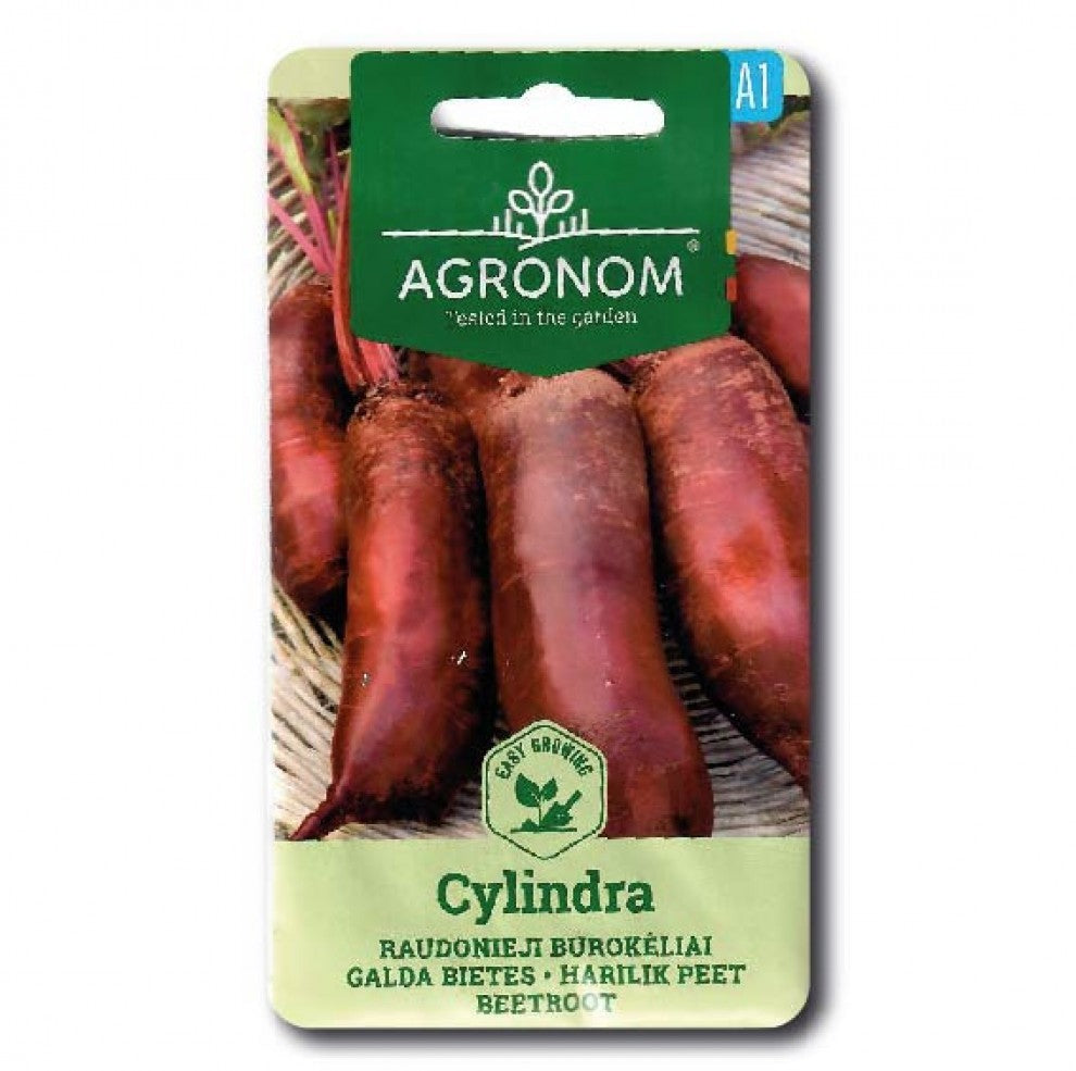 Beetroot Seeds Cylindra Long Red - supplier photo