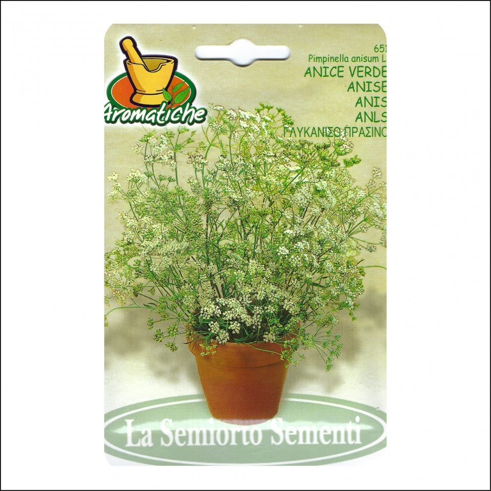 Anise Seeds Italian يانسون ايطالي - supplier photo