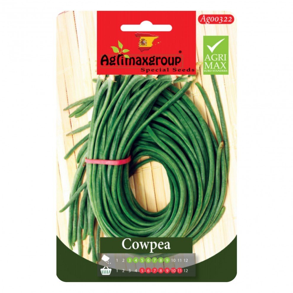 Long Bean Cowpea Seeds - supplier photo