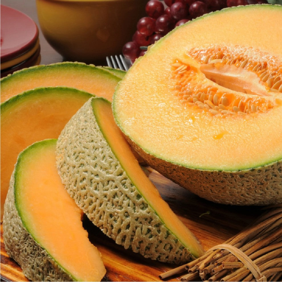 Melon Seeds Manqawi 15 Seeds - supplier photo