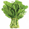 Organic Rocket Arugula Seeds Hasawi 20 g بذور جرجير حساوي عضوي (20 غرام) - supplier photo
