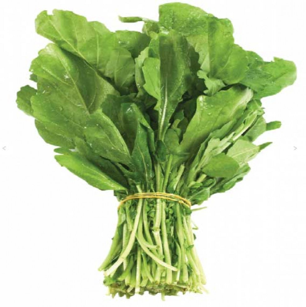 Organic Rocket Arugula Seeds Hasawi 20 g بذور جرجير حساوي عضوي (20 غرام) - supplier photo