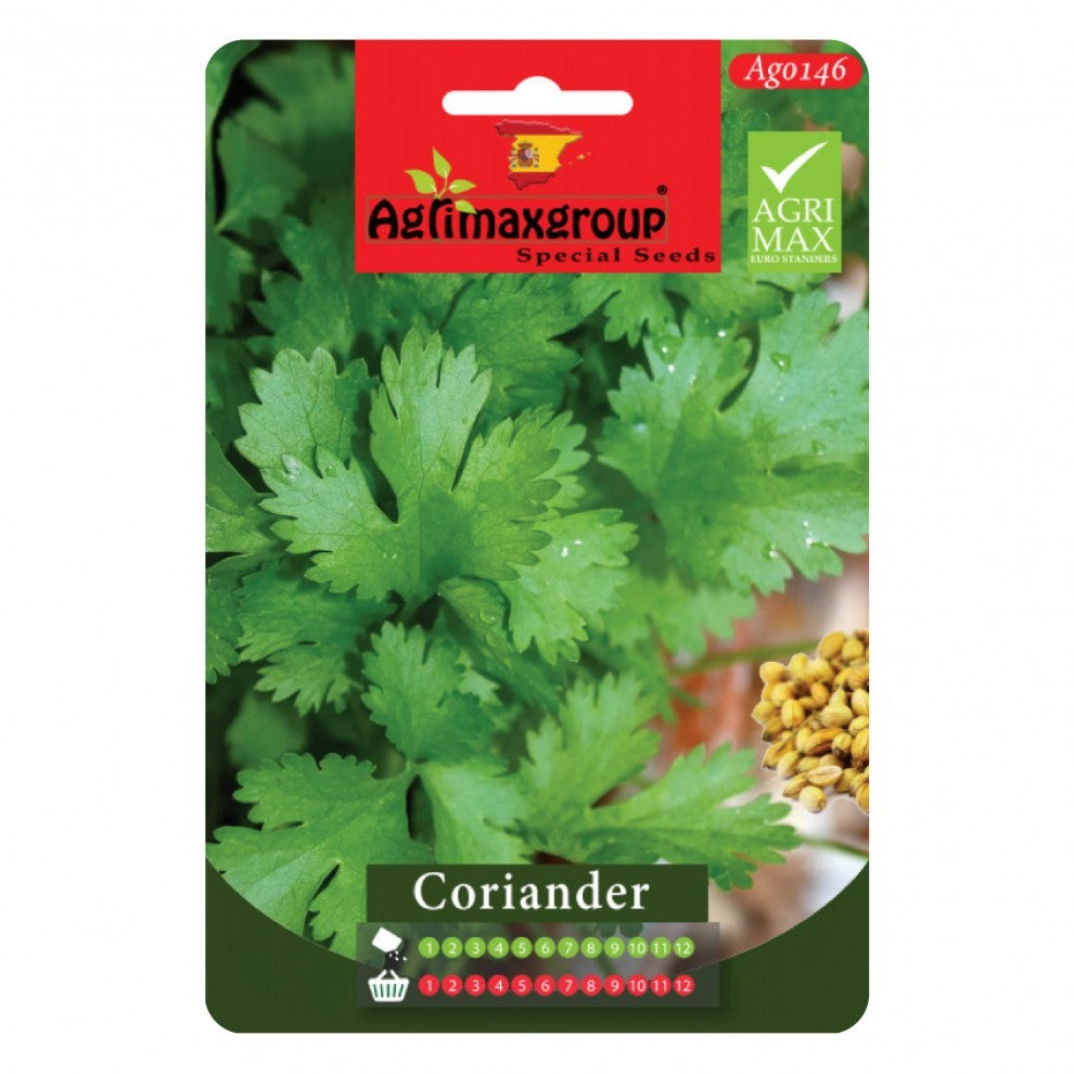 Coriander Seeds Green - supplier photo