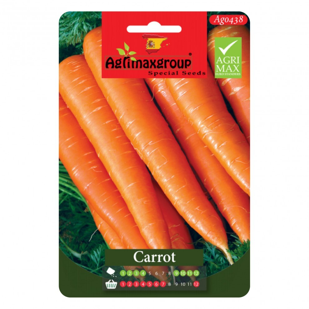 Carrot Seeds Medium - supplier photo