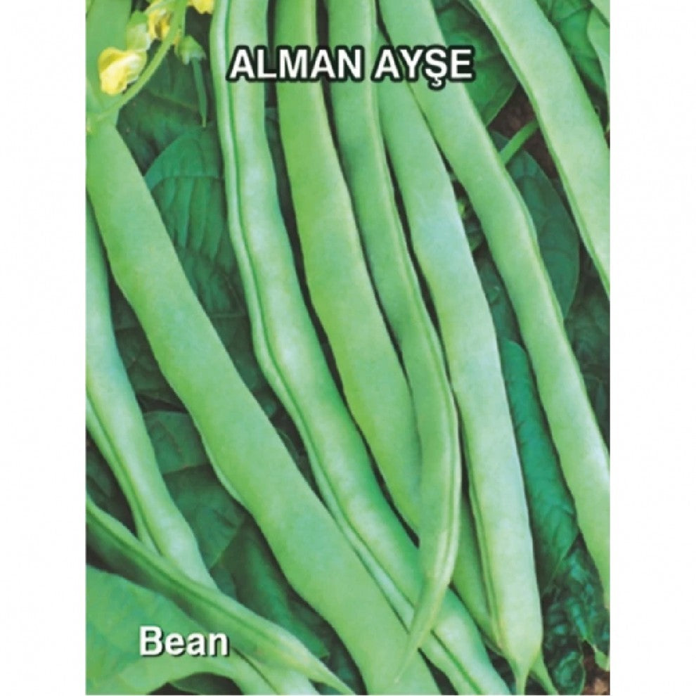 Bean Seeds German Aish - supplier photo