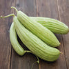 Armenian Cucumber Seeds Mekty White - supplier photo