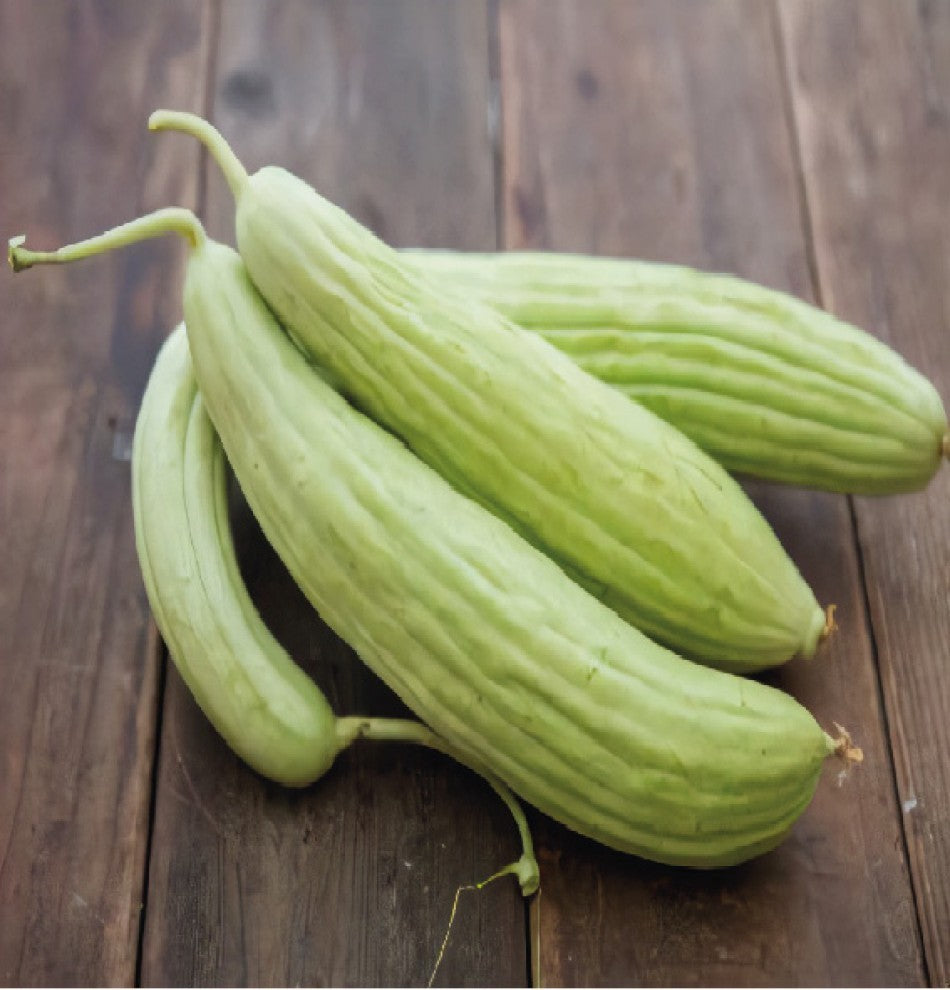 Armenian Cucumber Seeds Mekty White - supplier photo