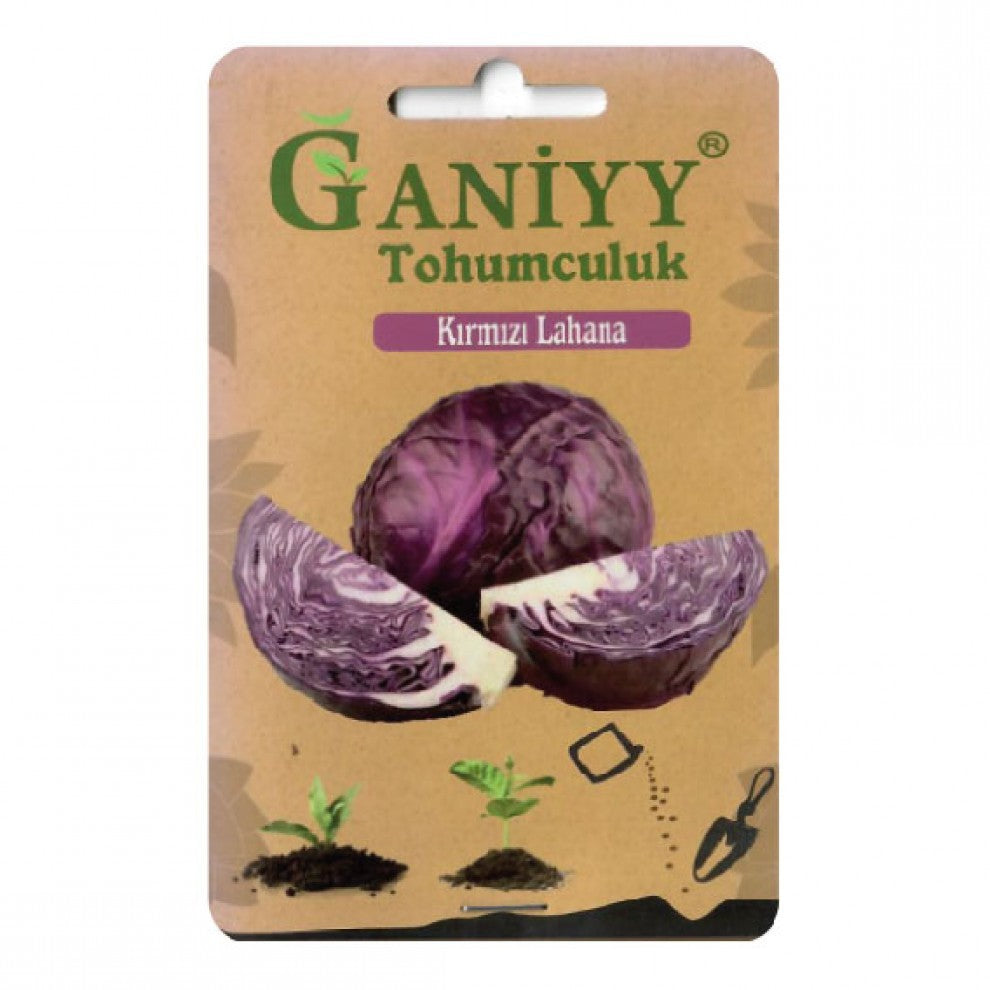 Cabbage Seeds Turkish Purple - supplier photo