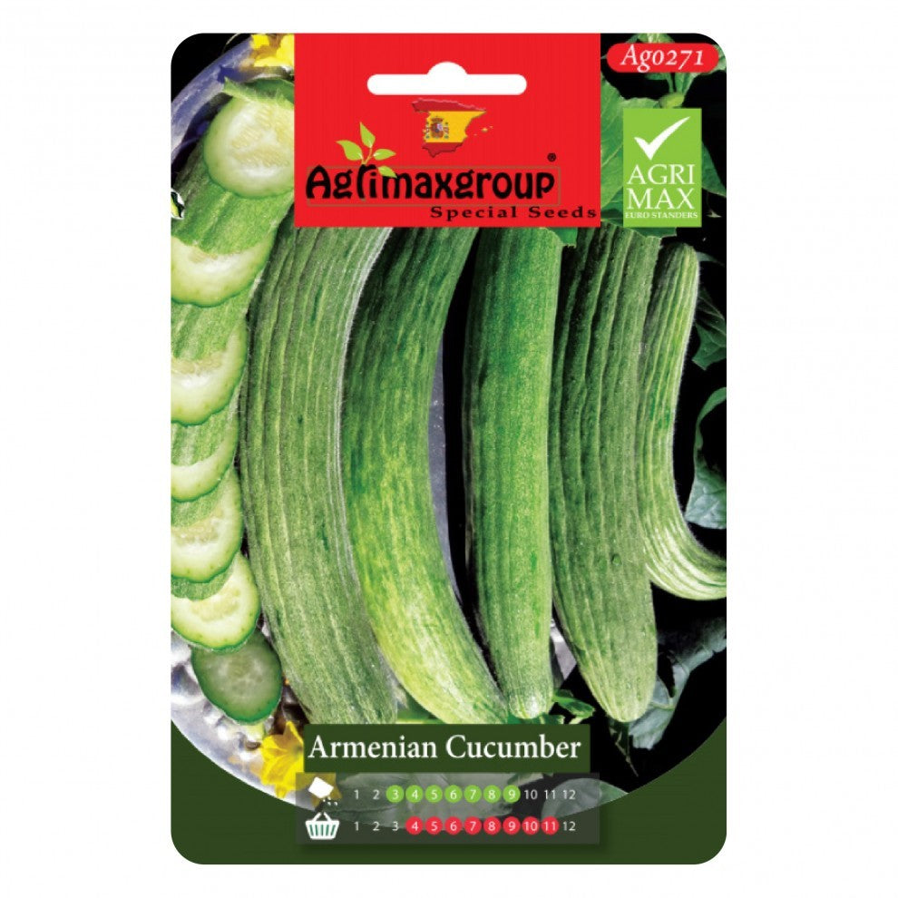 Armenian Cucumber Seeds Green - supplier photo