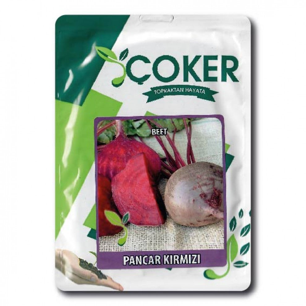 Beetroot Seeds Turkish Red 10 g - supplier photo