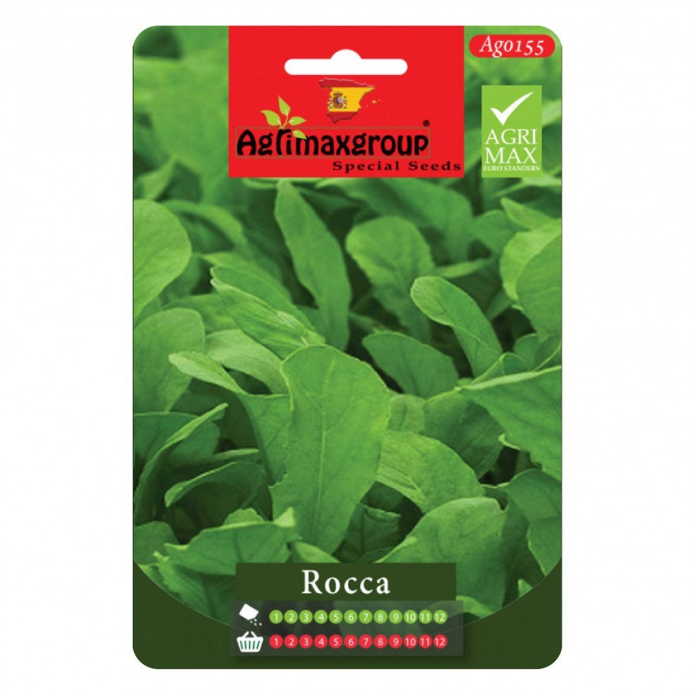 Rocket Arugula Seeds - supplier photo