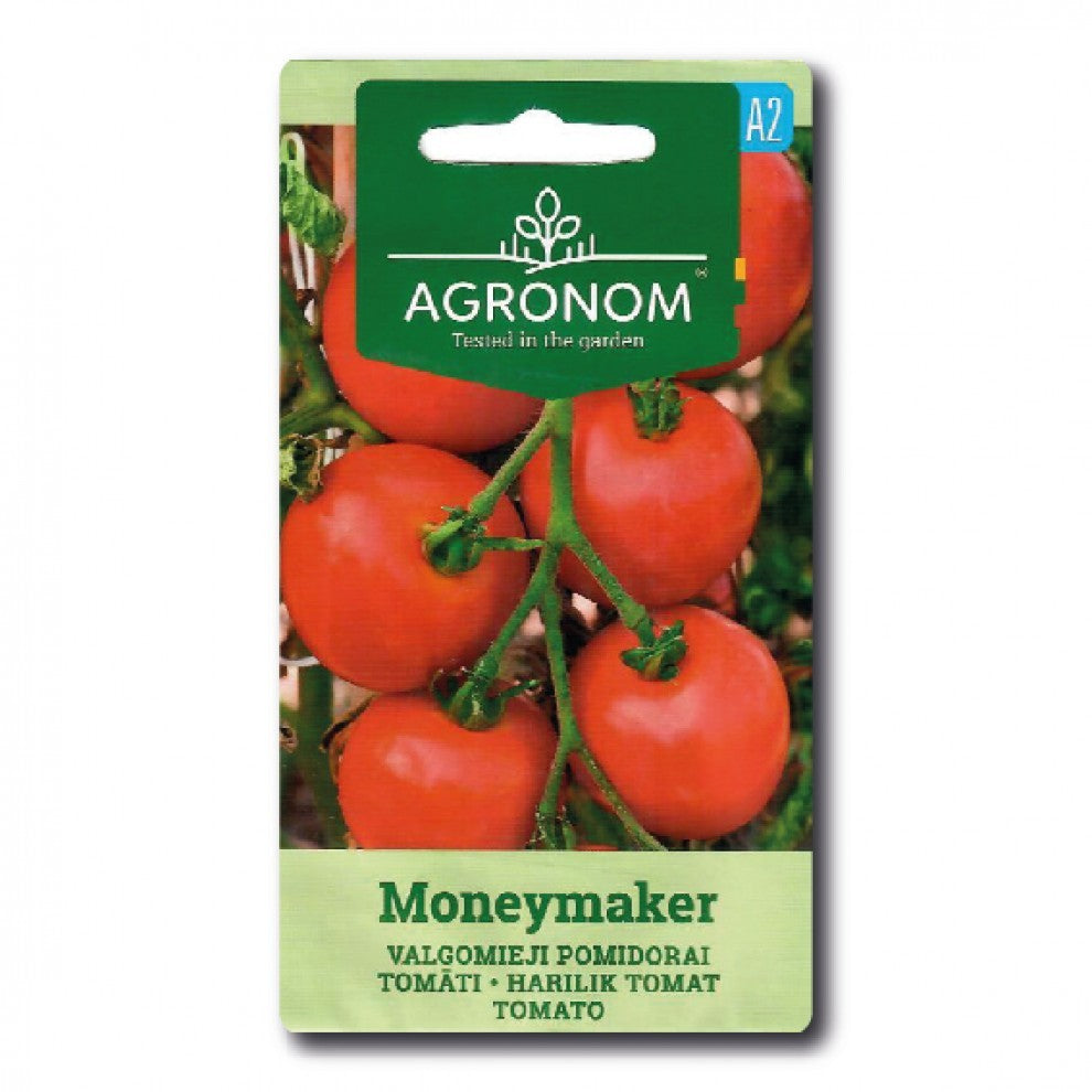 Tomato Seeds Moneymaker - supplier photo