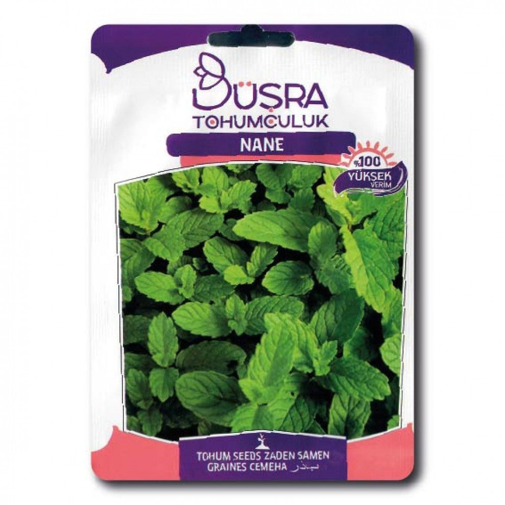 Mint Seeds Turkish - supplier photo