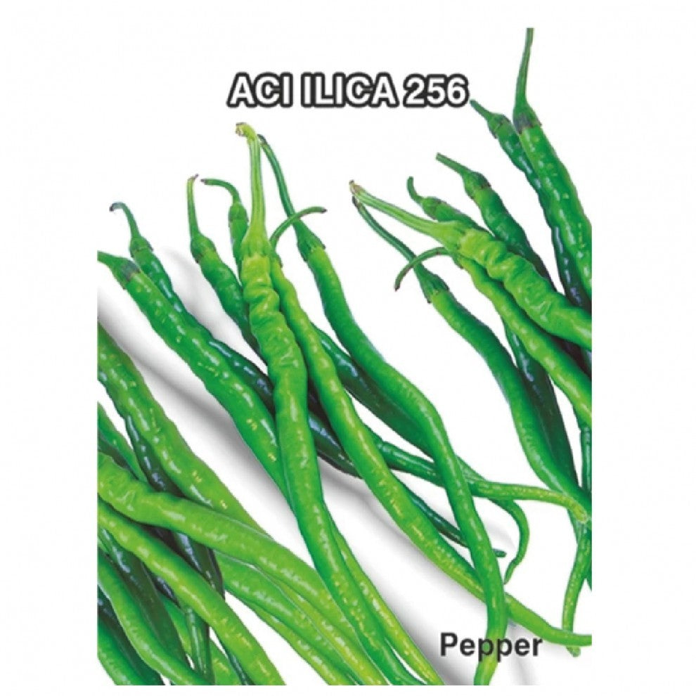 Hot Pepper Seeds Turkish Alika - supplier photo