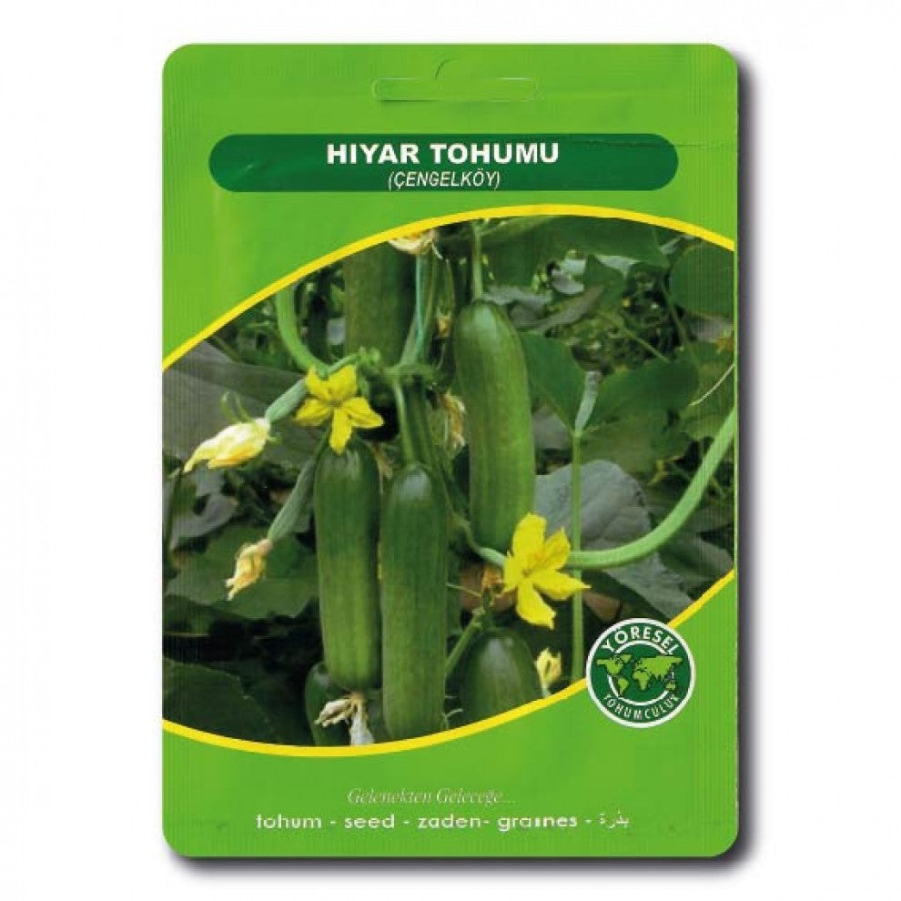 Cucumber Seeds Turkish Medium - supplier photo