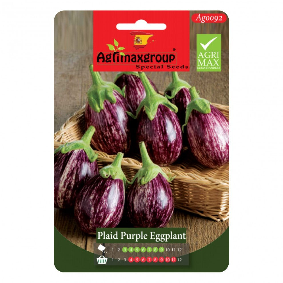 Aubergine Seeds Purple Striped - supplier photo