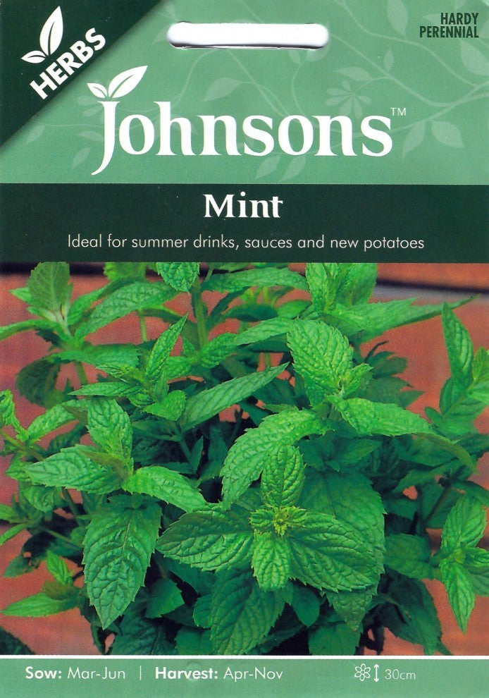 Mint Seeds English - supplier photo