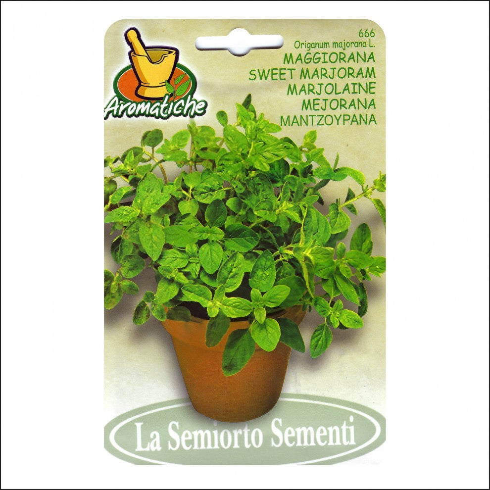 Marjoram Seeds Italian Premium - supplier photo