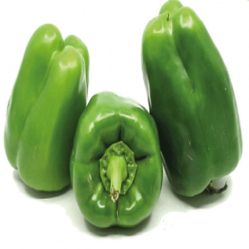Organic Bell Pepper Seeds 30 Seeds - supplier photo