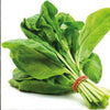 Organic Swiss Chard Seeds Hasawi 20 g بذور سلق حساوي عضوي (20 غرام) - supplier photo