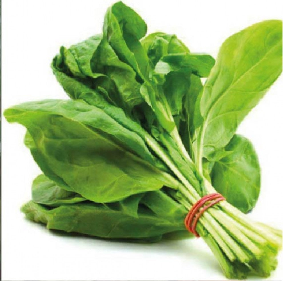 Organic Swiss Chard Seeds Hasawi 20 g بذور سلق حساوي عضوي (20 غرام) - supplier photo