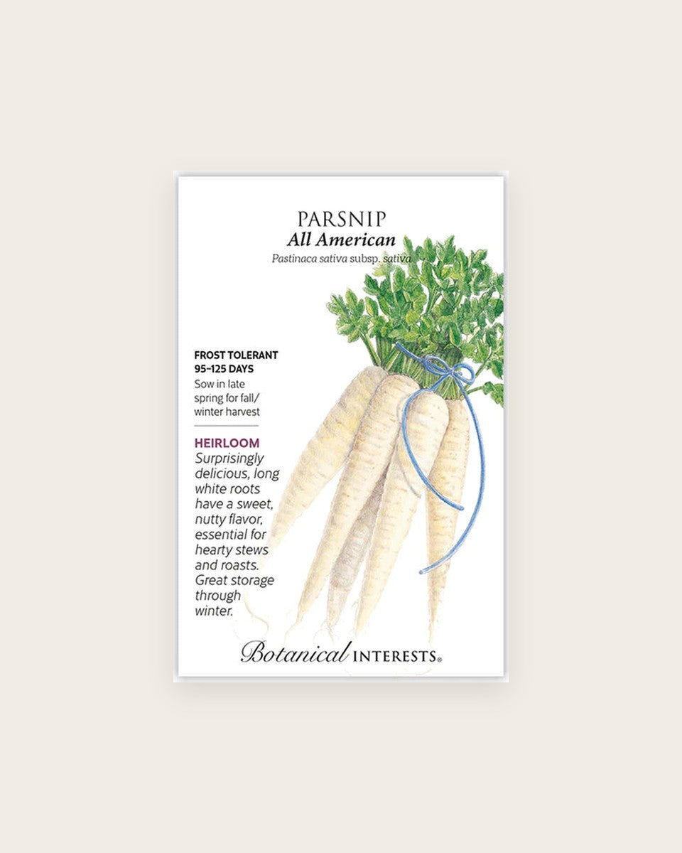 Parsnip, All American Seeds