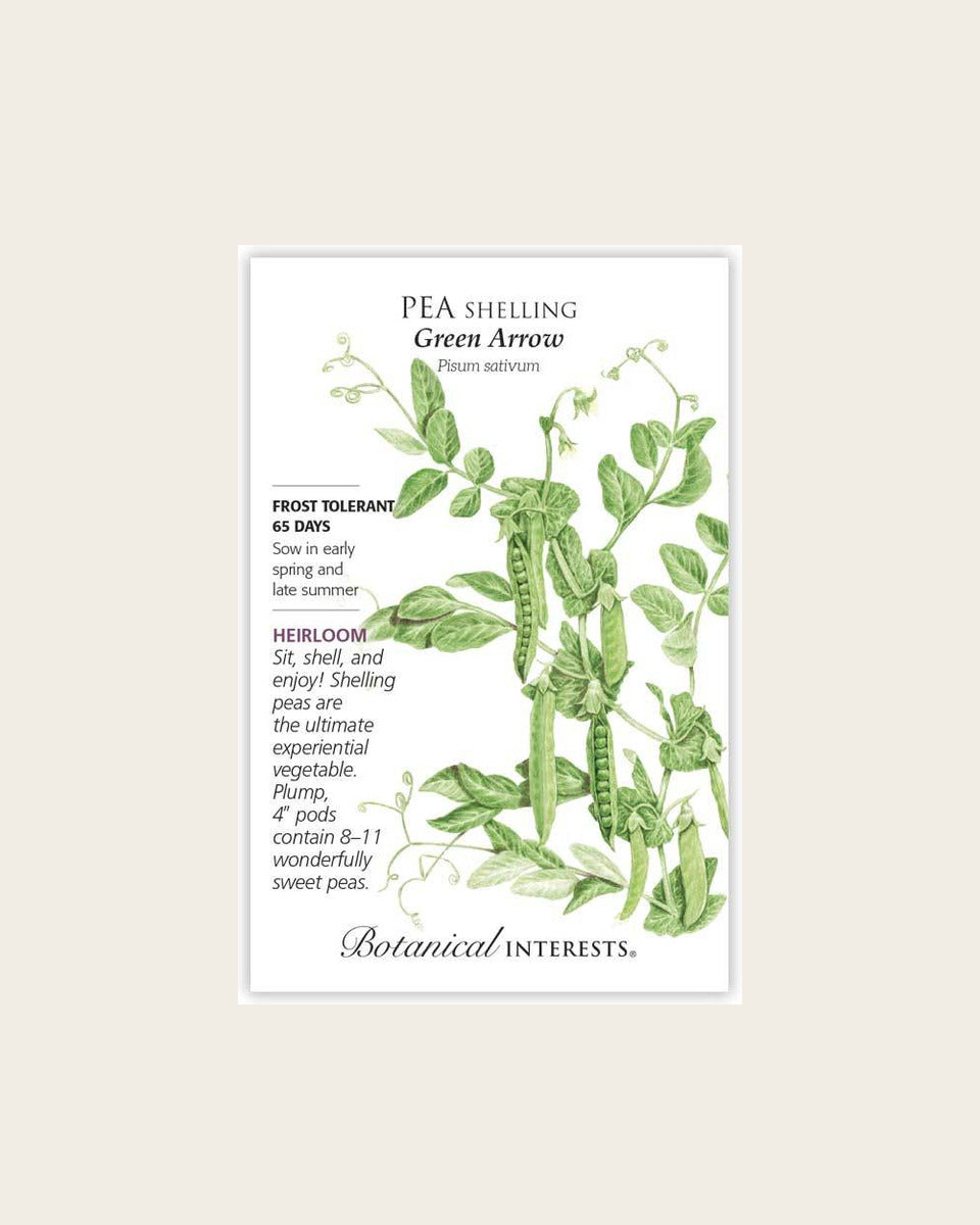 Pea (Shelling), Green Arrow Shelling Pea Seeds – Heirloom