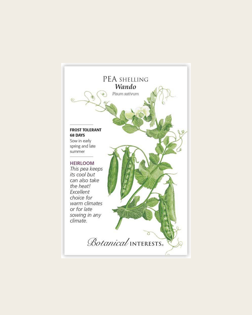 Pea (Shelling), Wando Shelling Pea Seeds – Heirloom