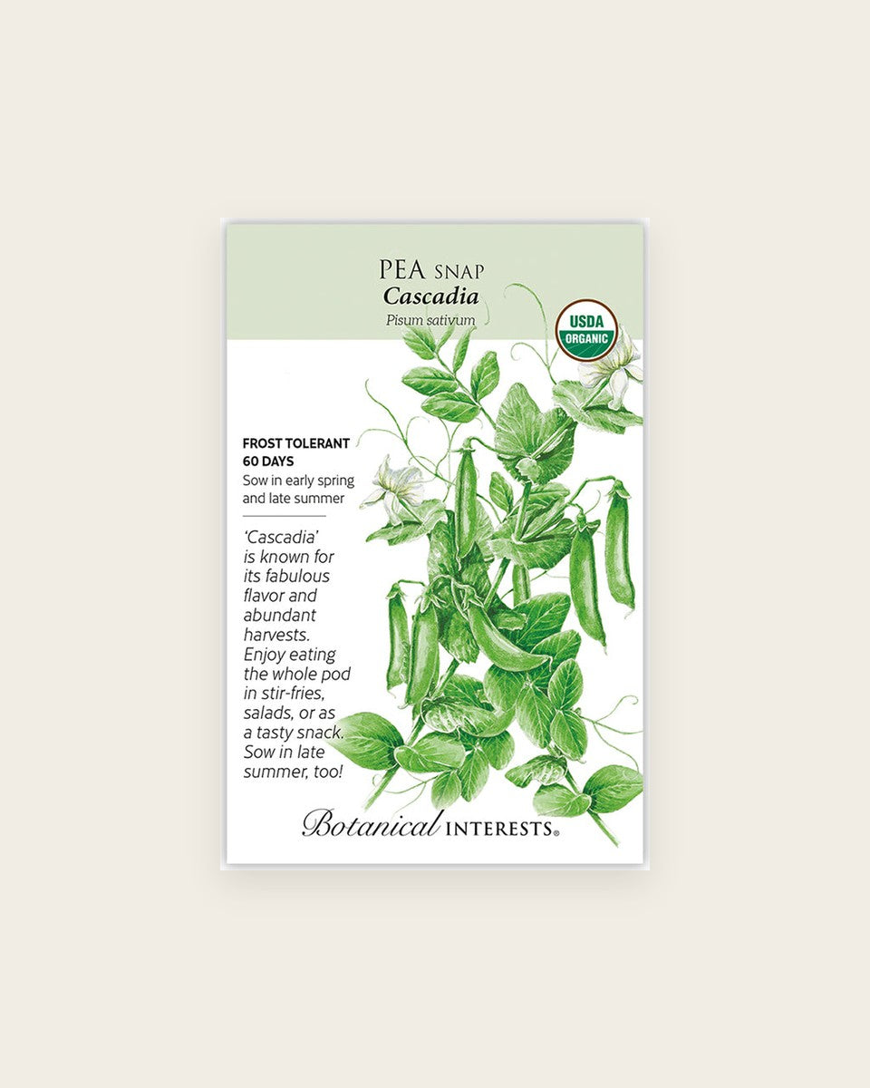 Pea (Snap), Cascadia Snap Pea Seeds