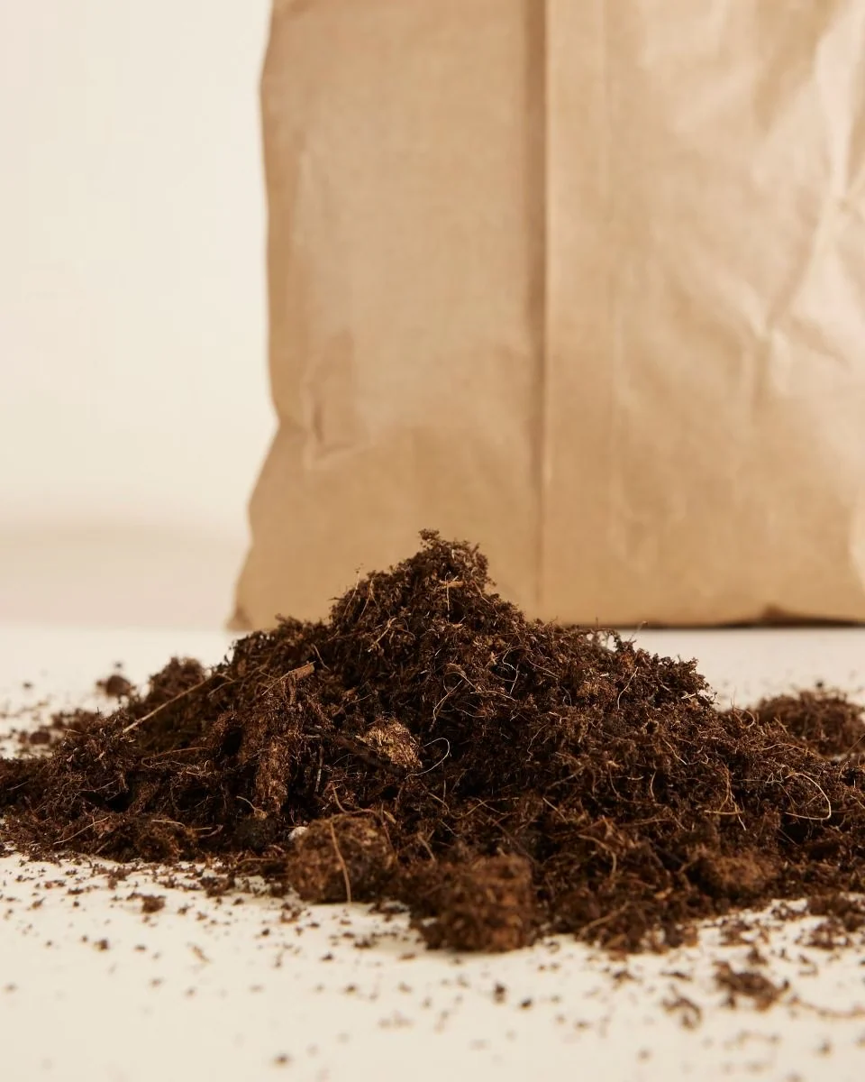 Peat Moss