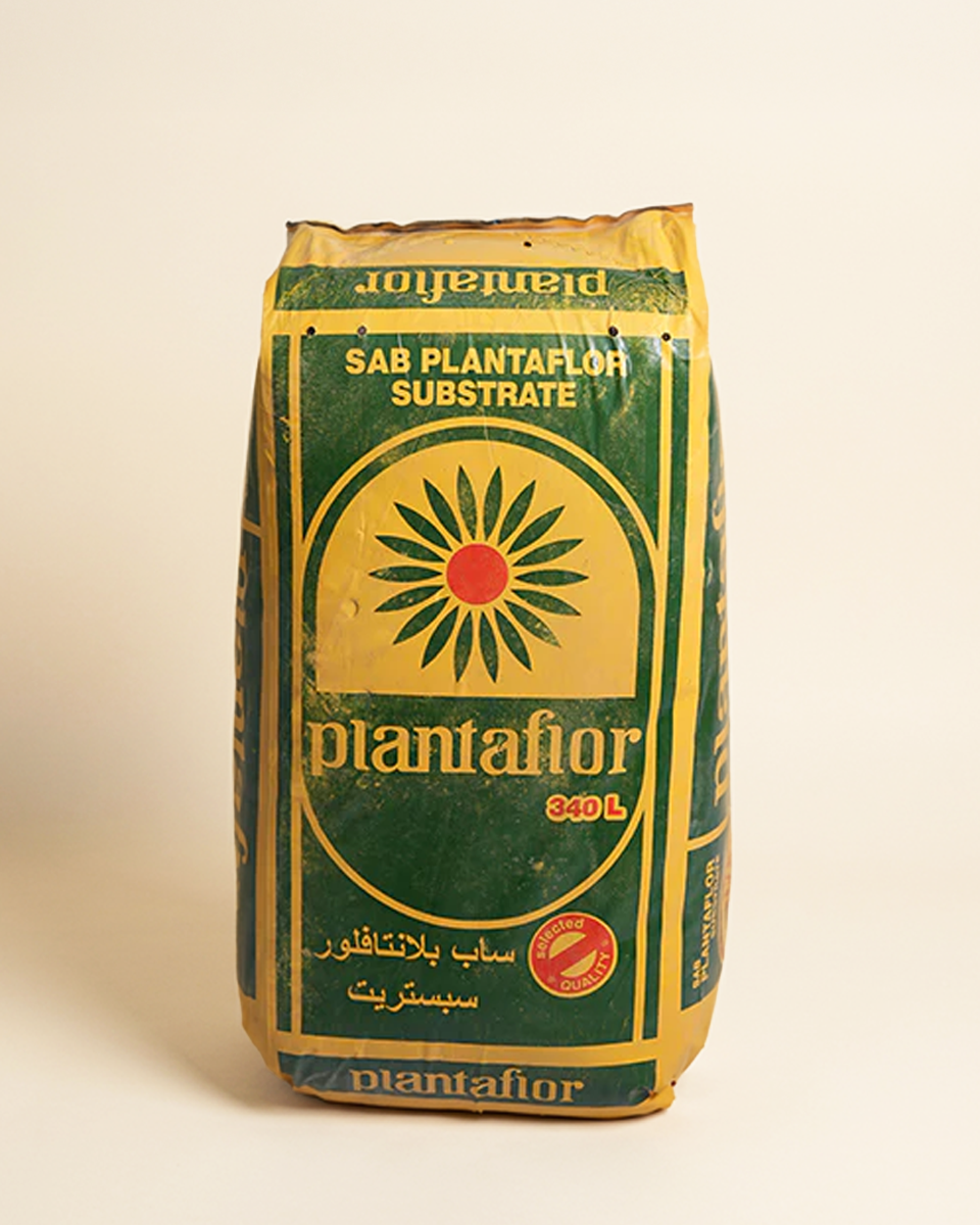 Peat Moss - 340L  بيتموس