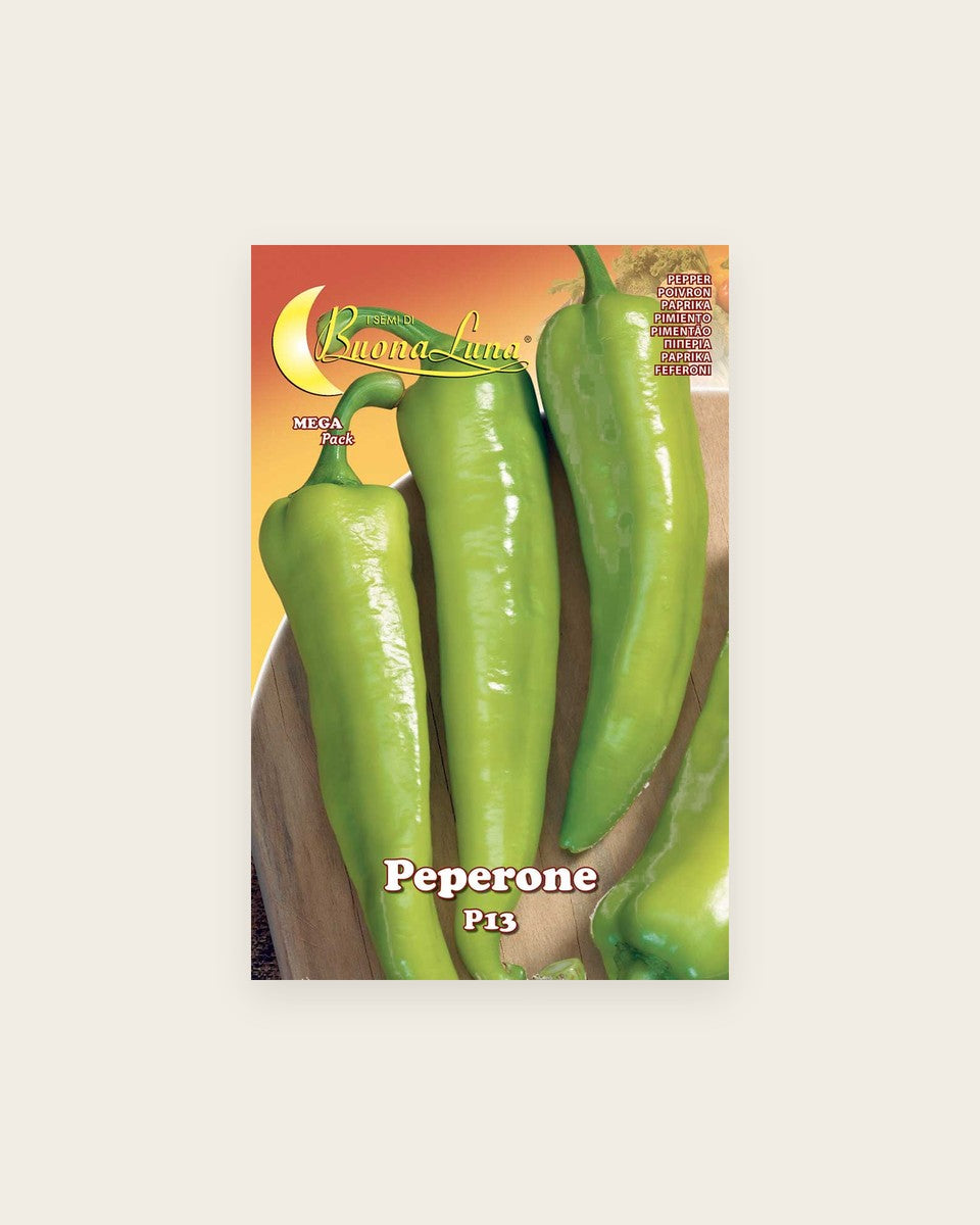 Pepper P13