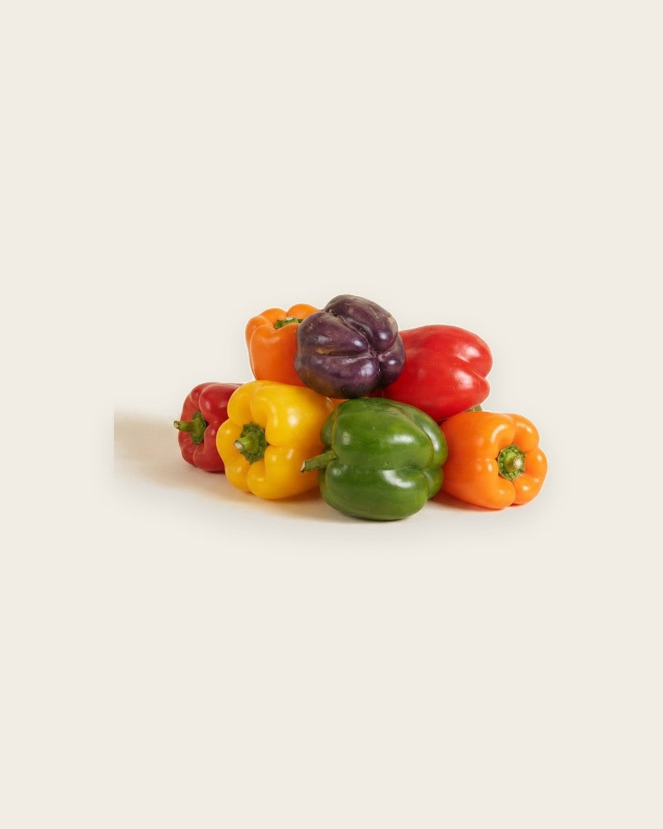 Pepper Rainbow Bell Blend