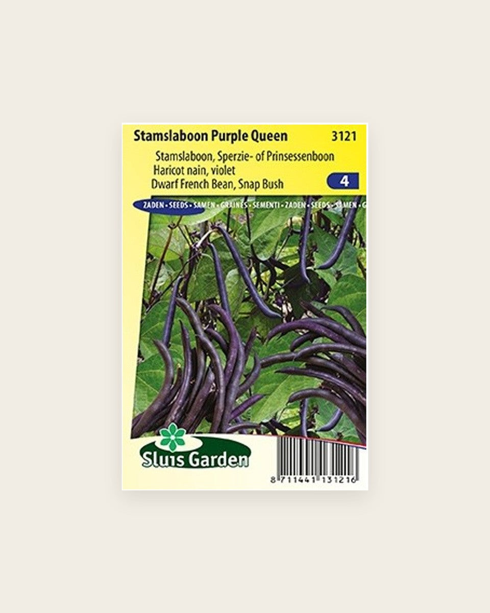 Seeds, Dwarf French Bean Purple Queen