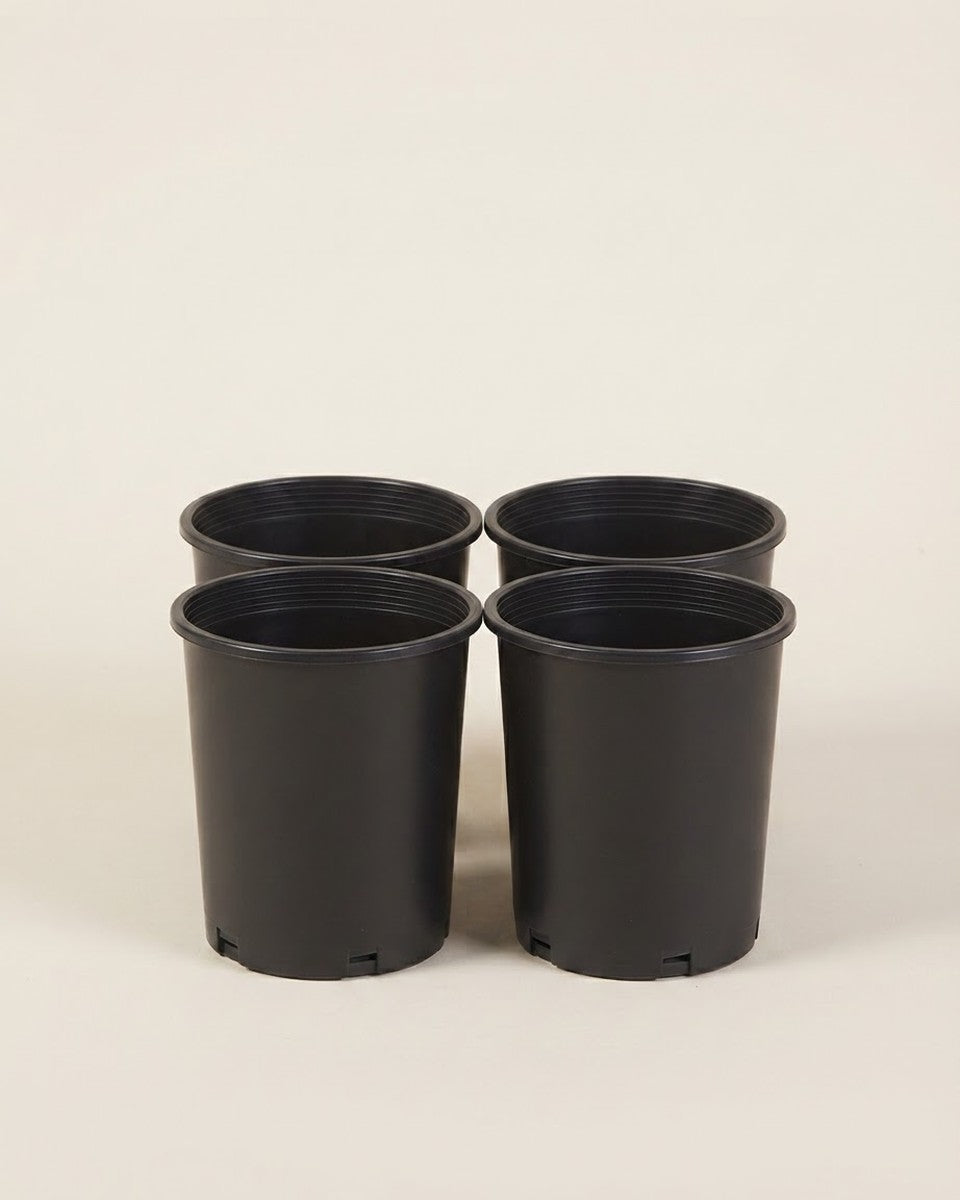 Plastic Nursery Pot 12 cm أصيص بلاستيك قطر الفتحة 12 سم