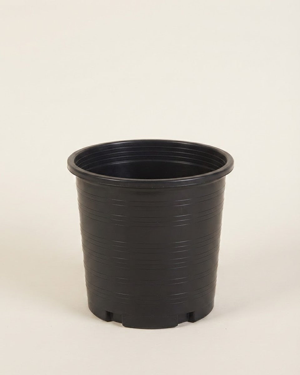 Plastic Nursery Pot 14 cm أصيص بلاستيك قطر الفتحة 14 سم