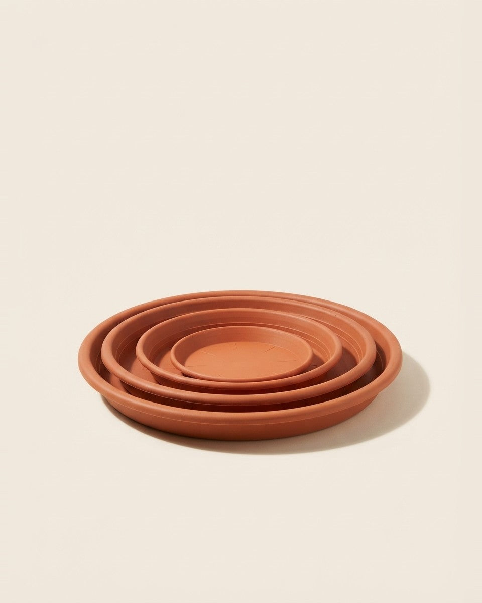 Plastic Pot Plate