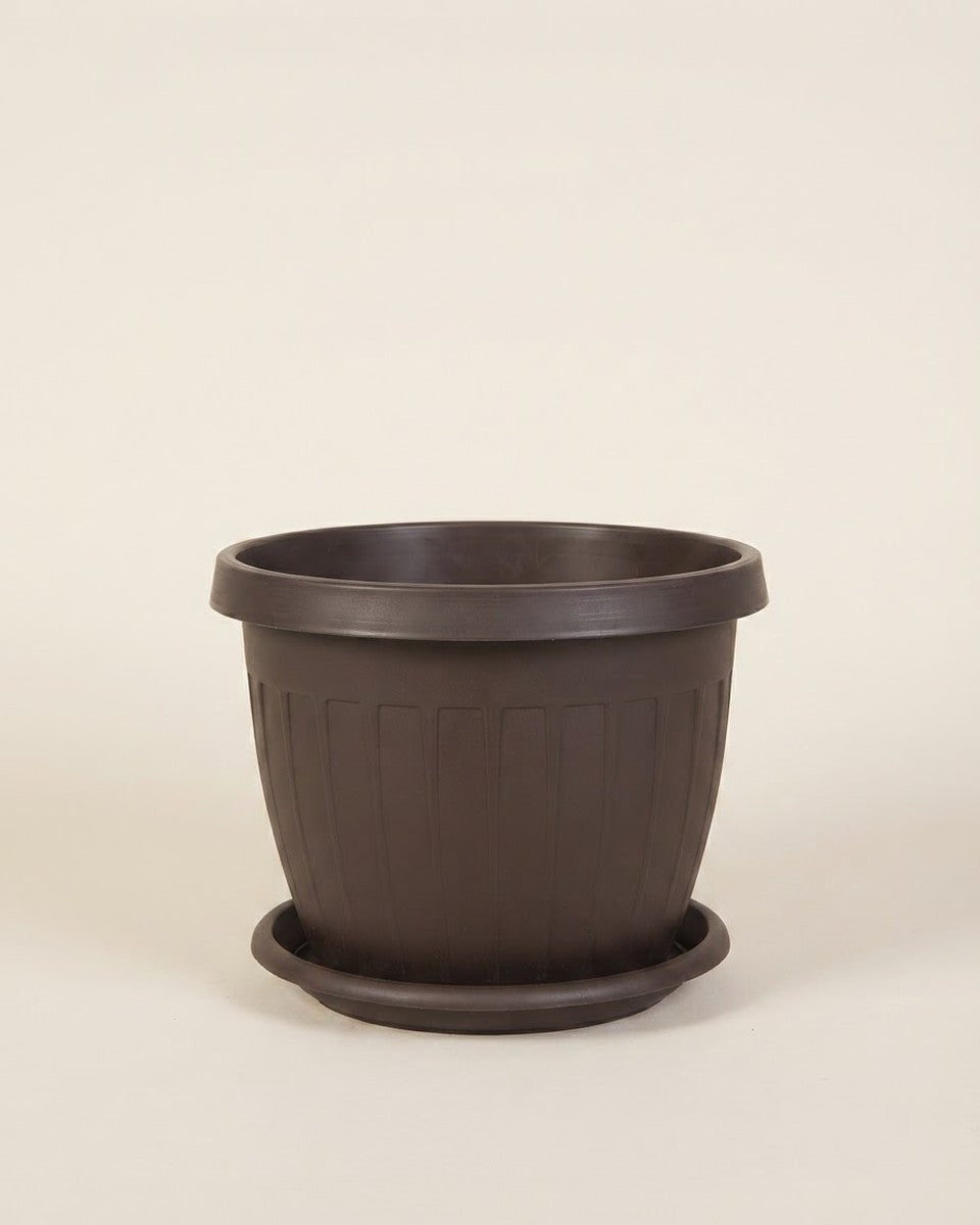 Plastic Pot Stp Dbr 30