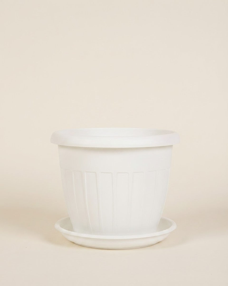 Plastic Pot Stp Wt 40