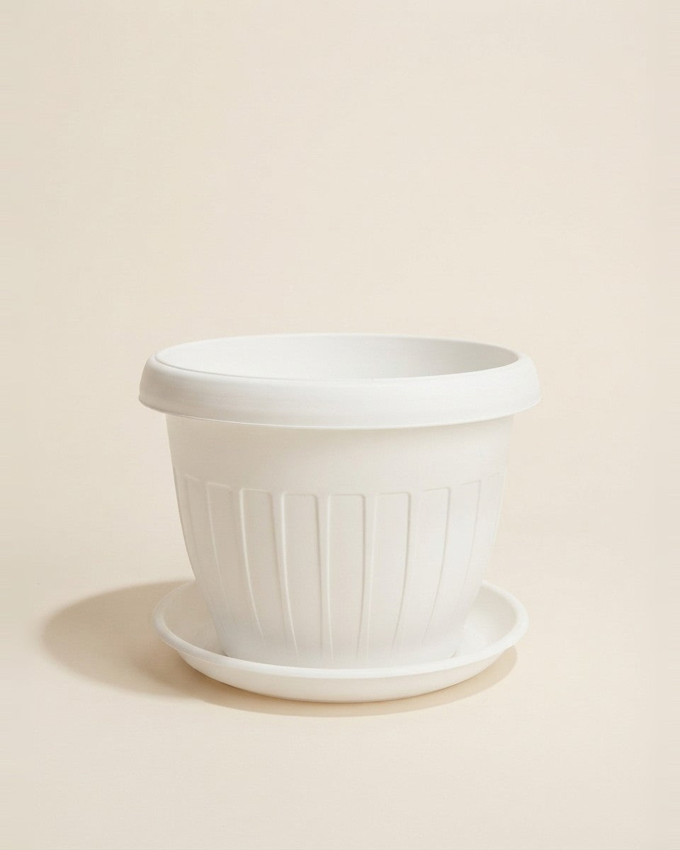 Plastic Pot Stp Wt 50