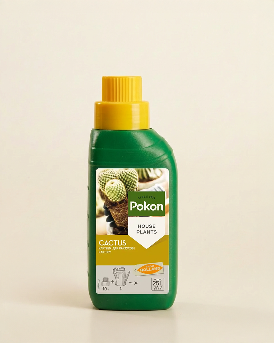 succulent plant fertilizer Cactus & Succulent Plant Food (250ml) – NABAT