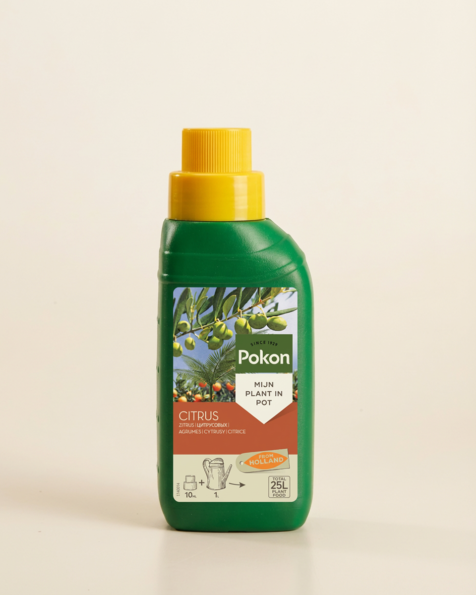 Citrus Food (250ml) سماد الحمضيات