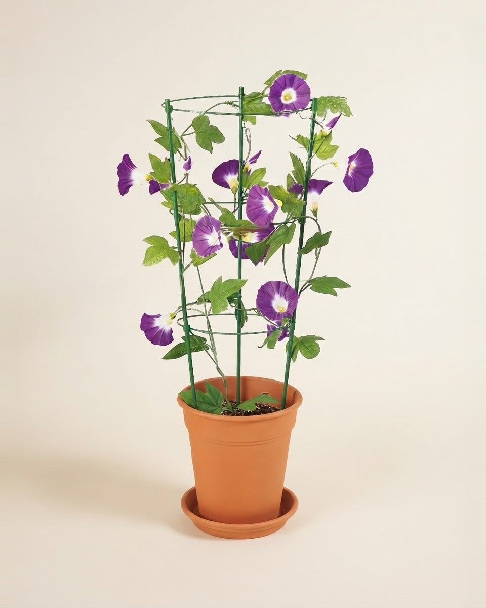 Pot Stand 45 cm ستاند أصيص 45 سم