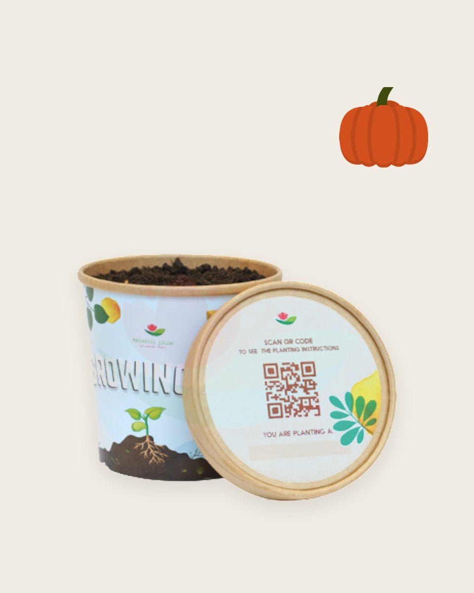 Pumpkin