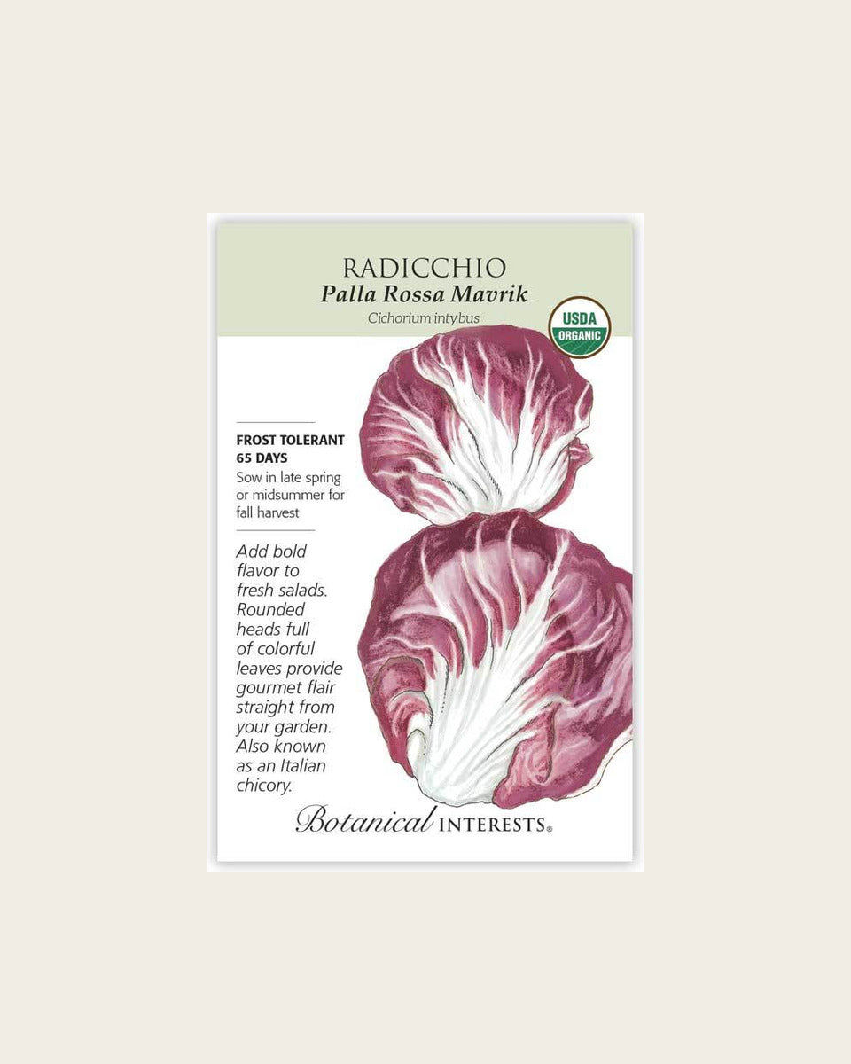 Radicchio, Palla Rossa Mavrik Radicchio Seeds – Organic