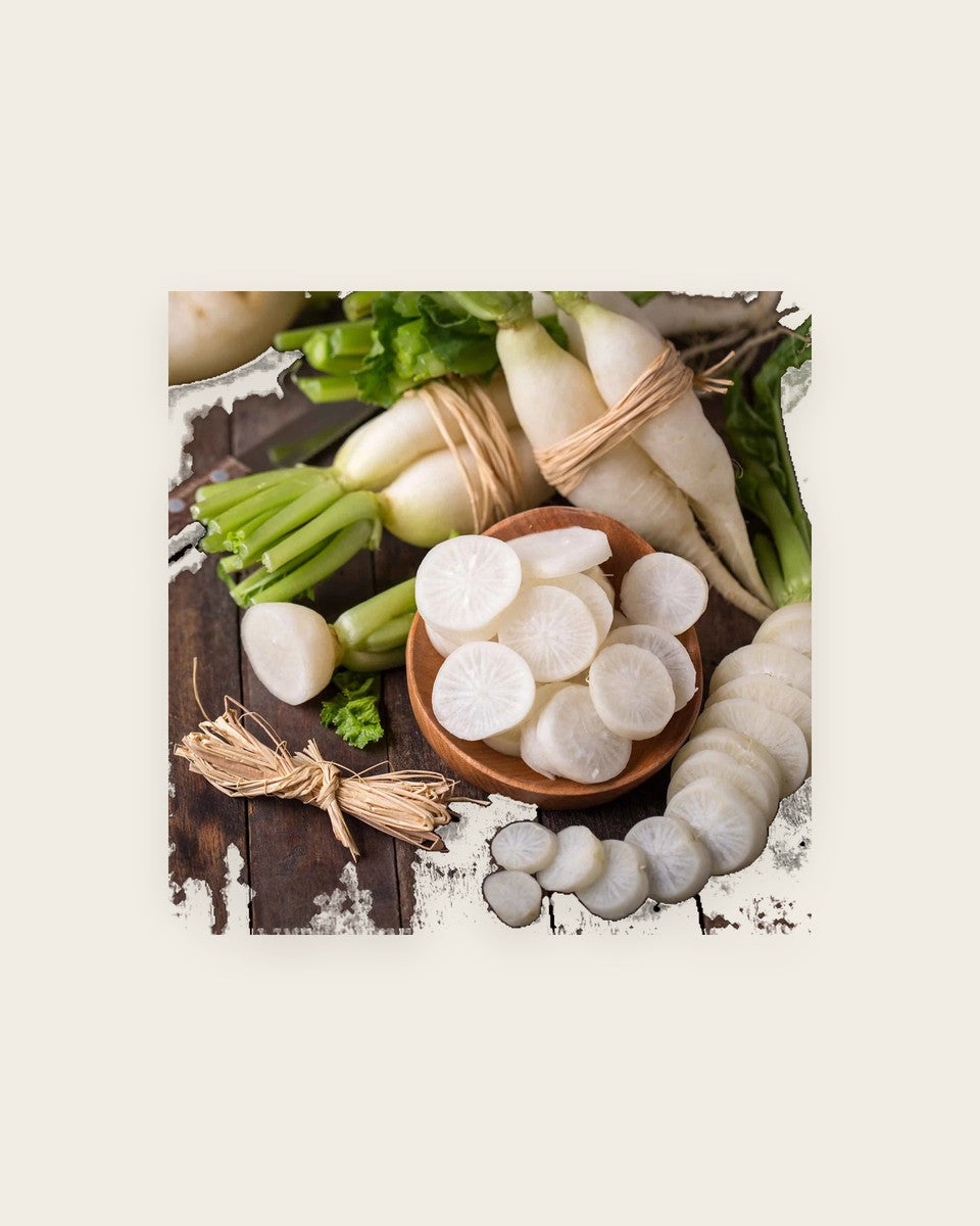 Radish Daikon Minowase