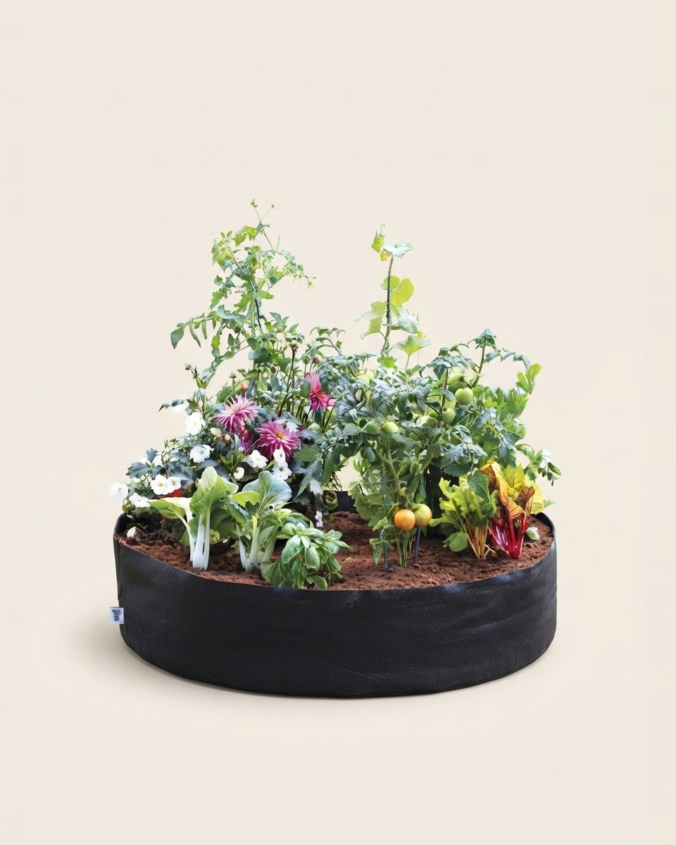 Raised Bed – Junior - Smart Pot