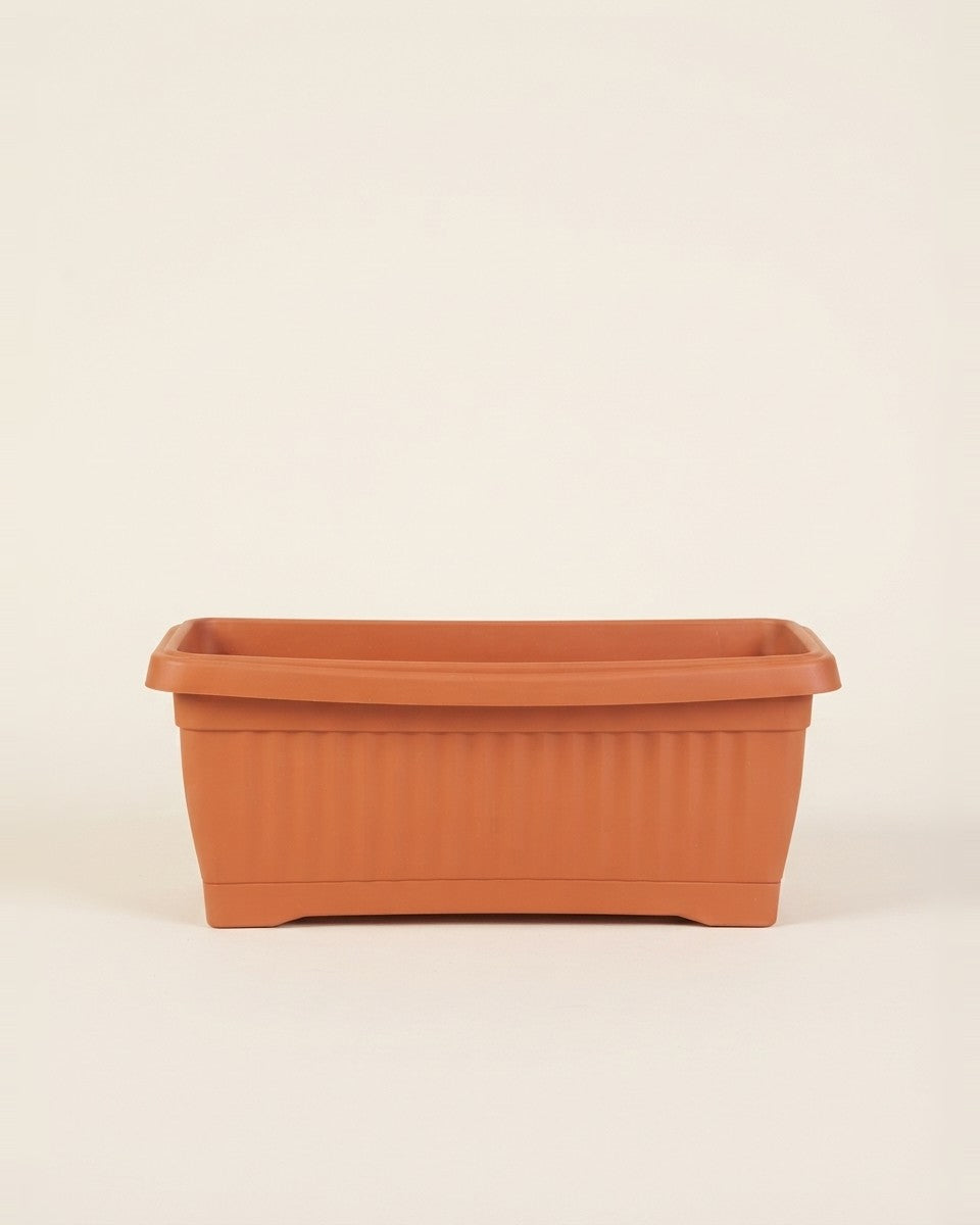 Rectangle Pot 40*20 Terracotta حوض